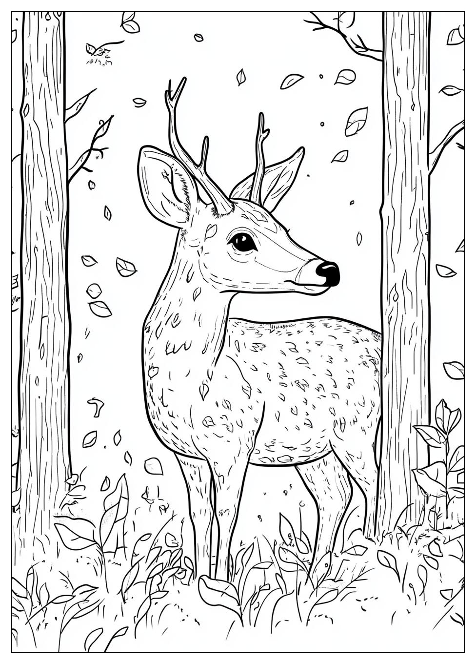 Tiere Des Waldes Ausmalbilder 20