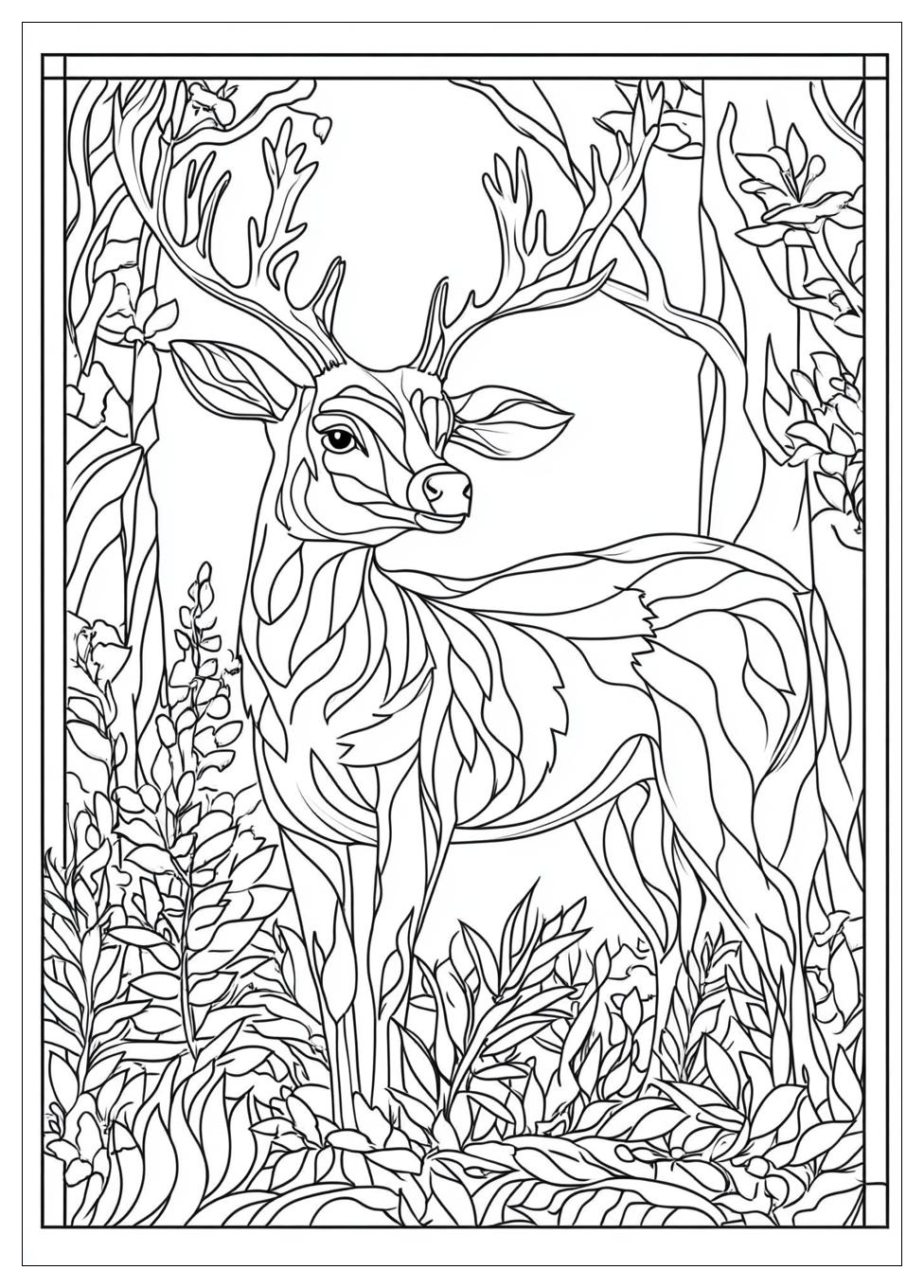 Tiere Des Waldes Ausmalbilder 23