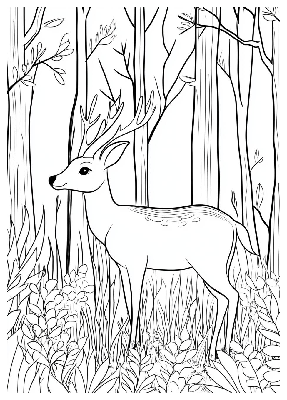 Tiere Des Waldes Ausmalbilder 5