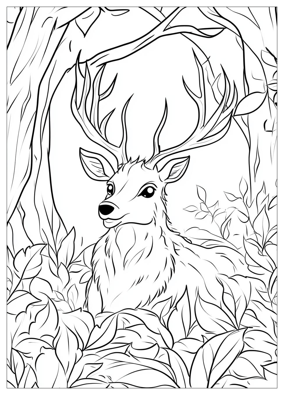 Tiere Im Wald Ausmalbilder 12