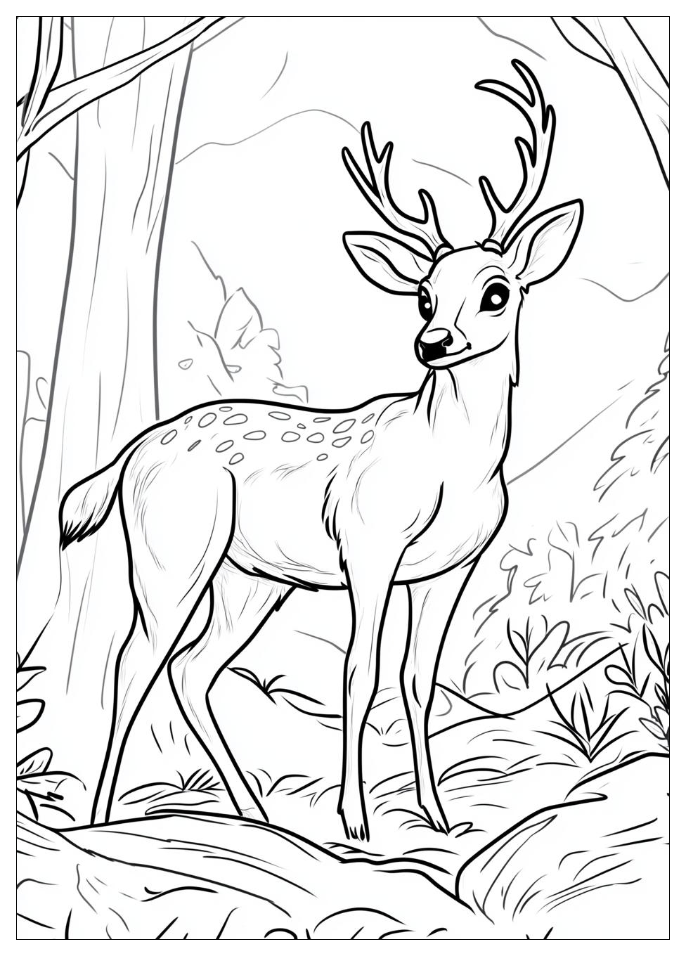 Tiere Im Wald Ausmalbilder 2