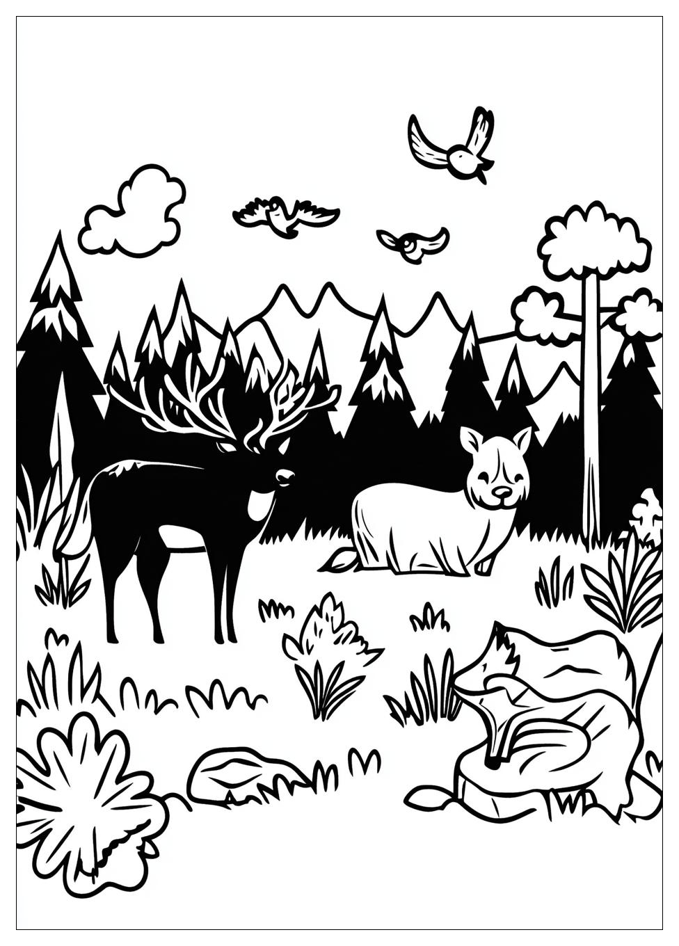 Tiere Im Wald Ausmalbilder 20