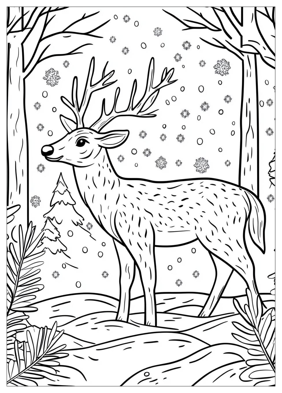 Tiere Im Winter Ausmalbilder 5