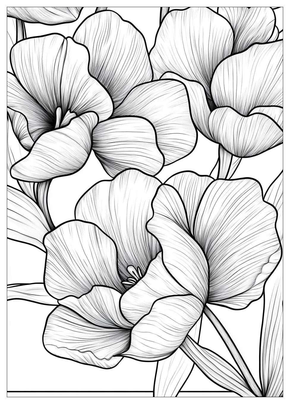 Tulpe Ausmalbilder 1