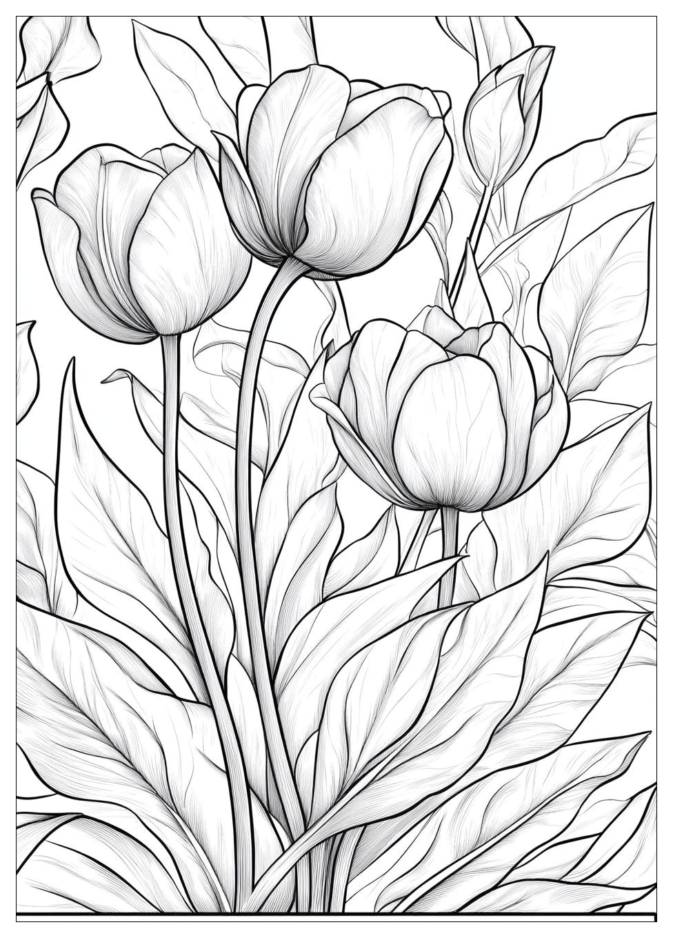 Tulpe Ausmalbilder 10
