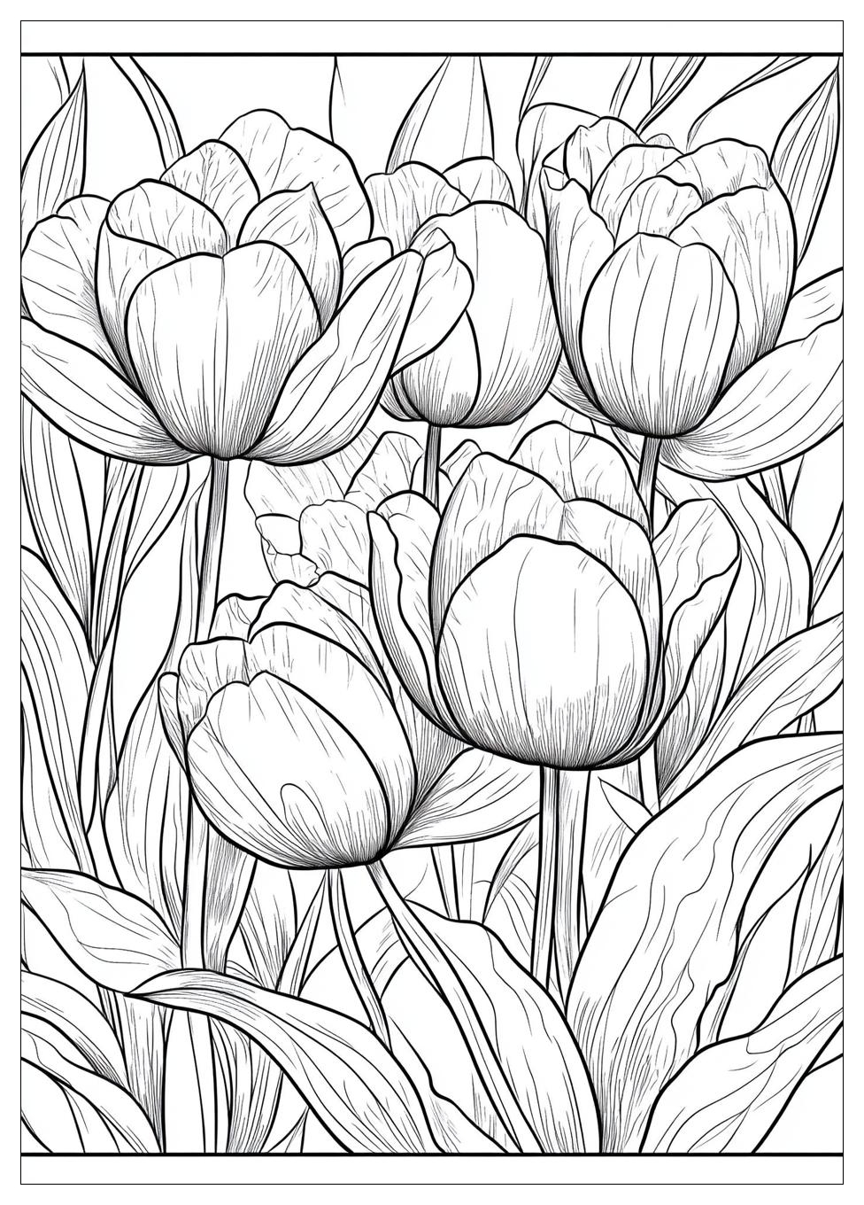 Tulpe Ausmalbilder 18