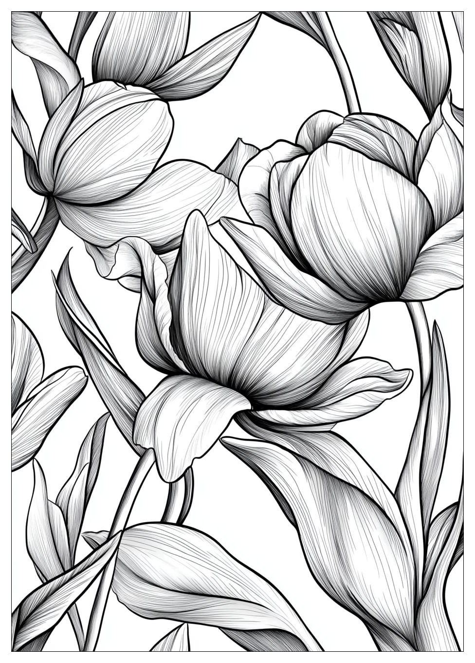 Tulpe Ausmalbilder 24