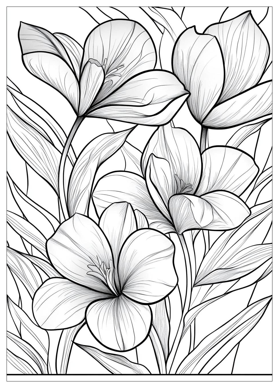 Tulpe Ausmalbilder 7