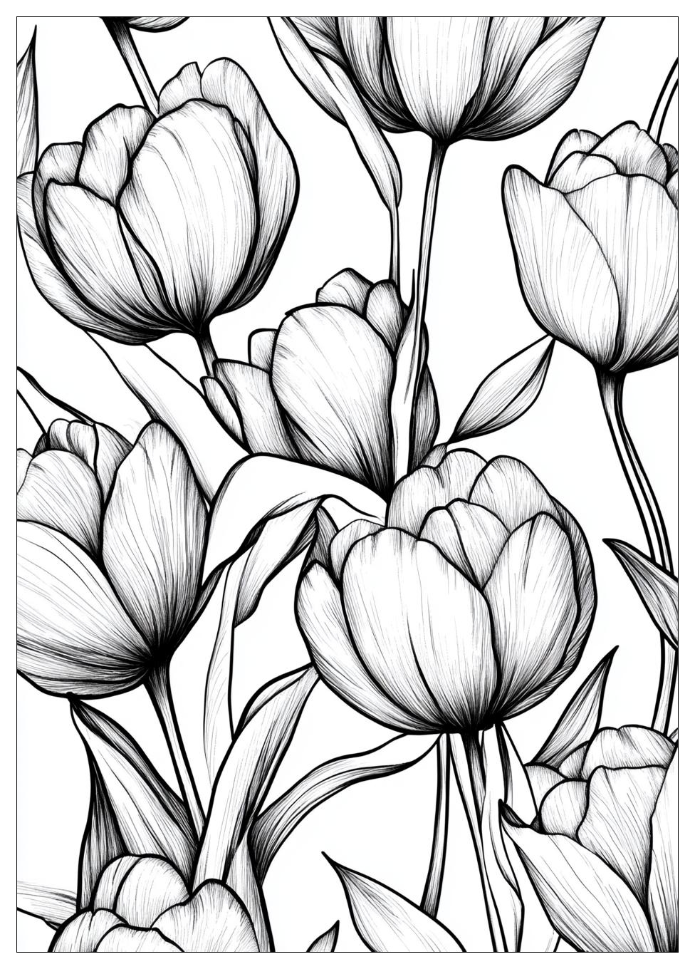 Tulpen Ausmalbilder 1