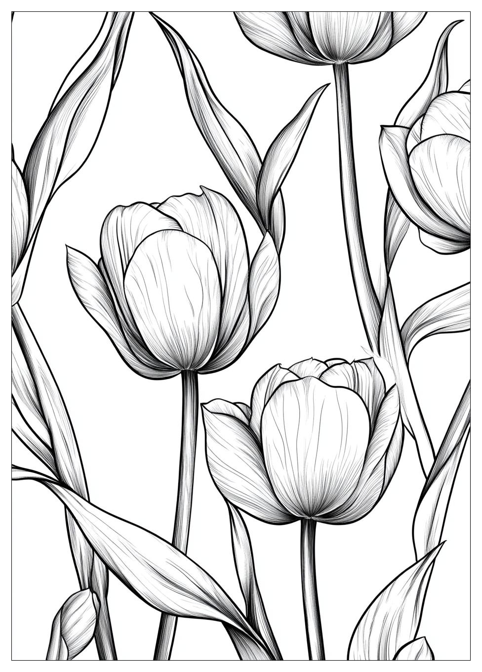 Tulpen Ausmalbilder 23