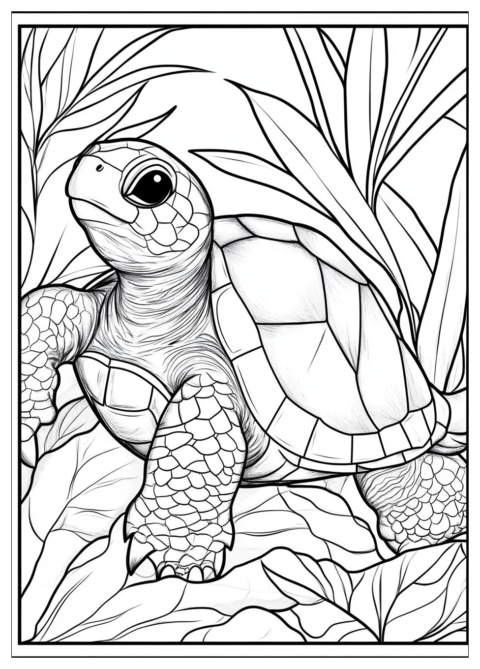 Turtles Ausmalbilder 20