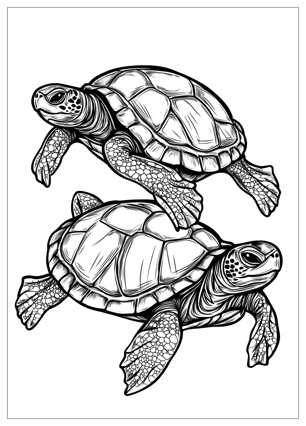 Turtles Ausmalbilder 23