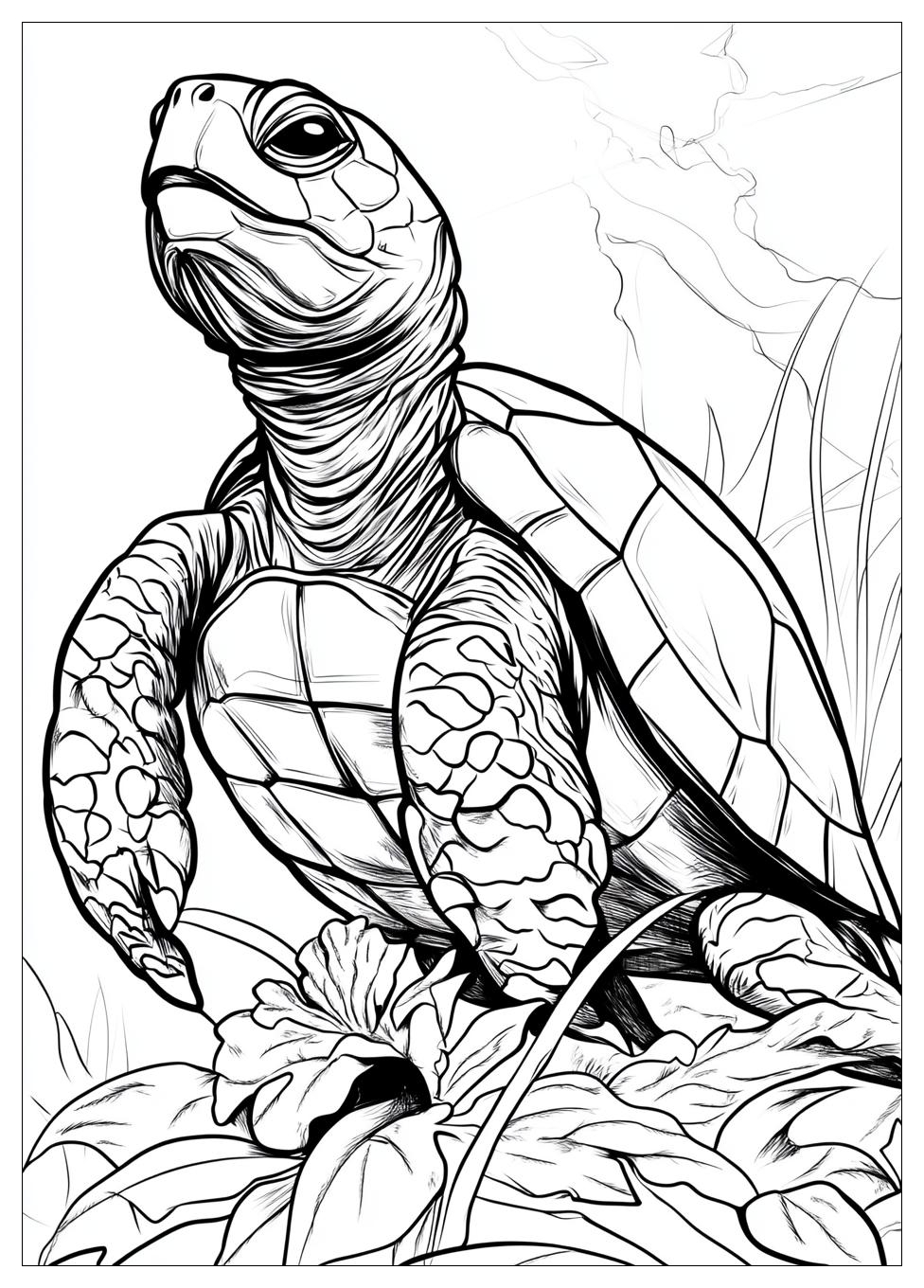 Turtles Ausmalbilder 24
