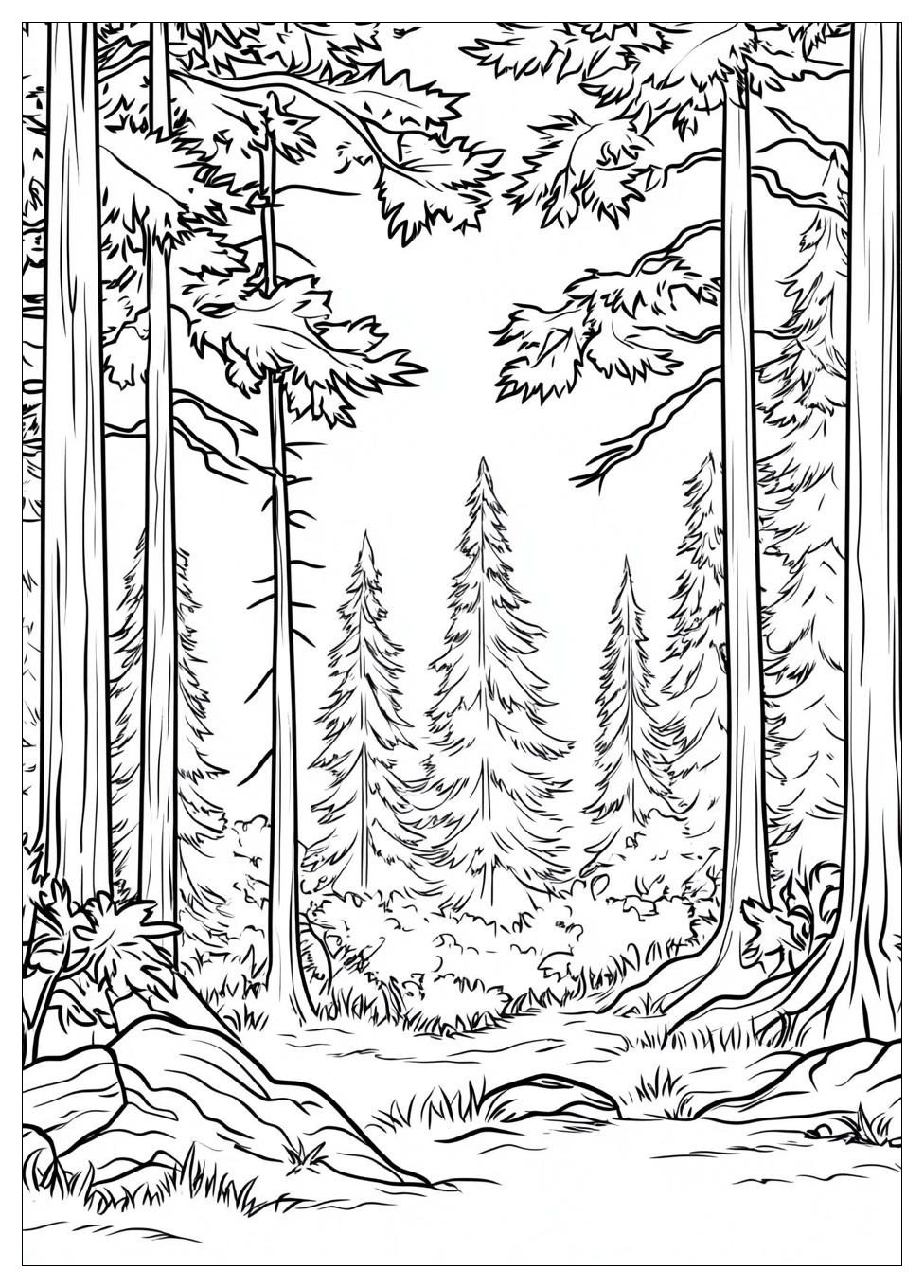 Wald Ausmalbilder 23
