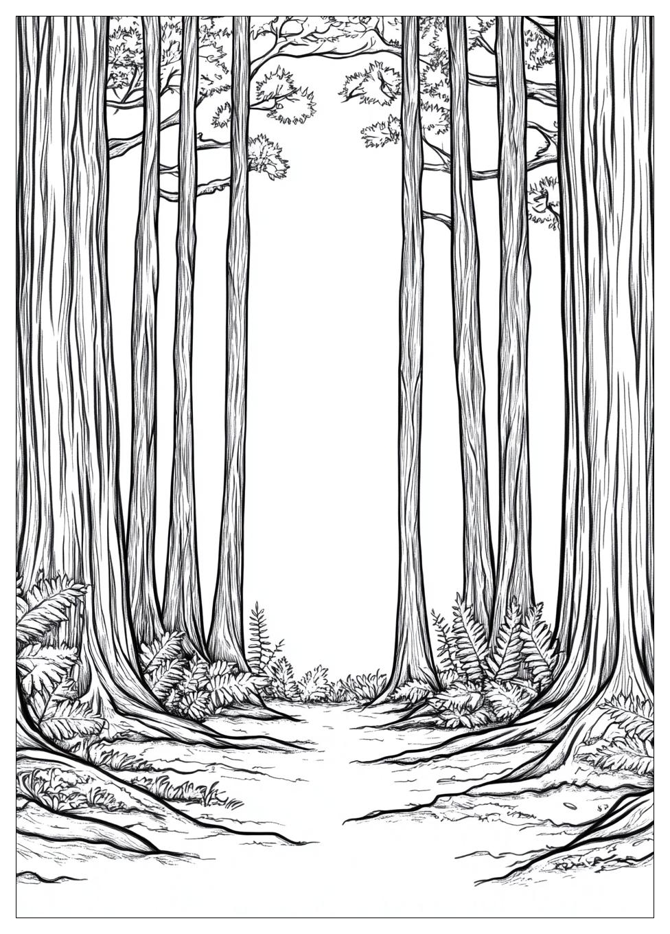 Wald Ausmalbilder 24