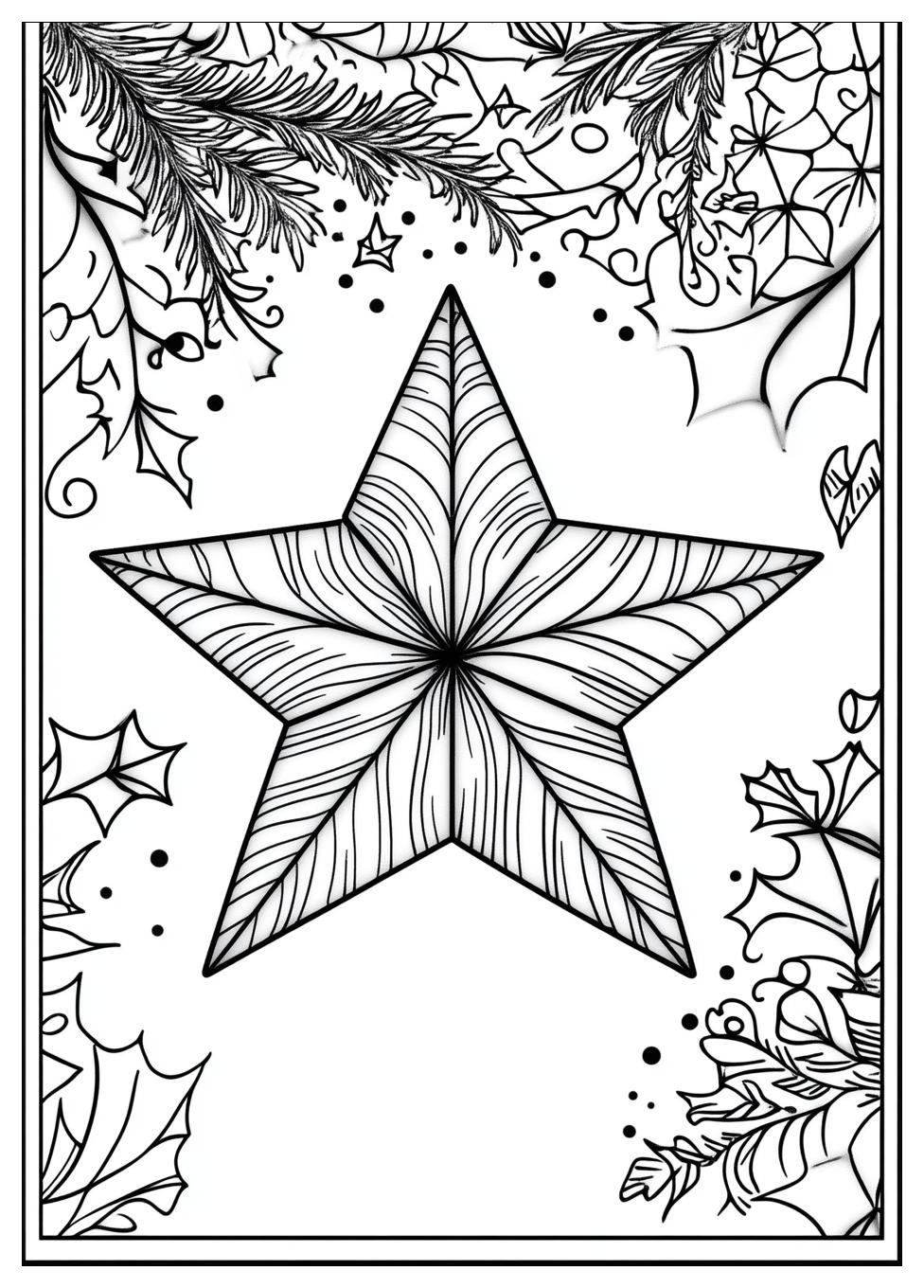 Weihnachtsstern Ausmalbilder 12