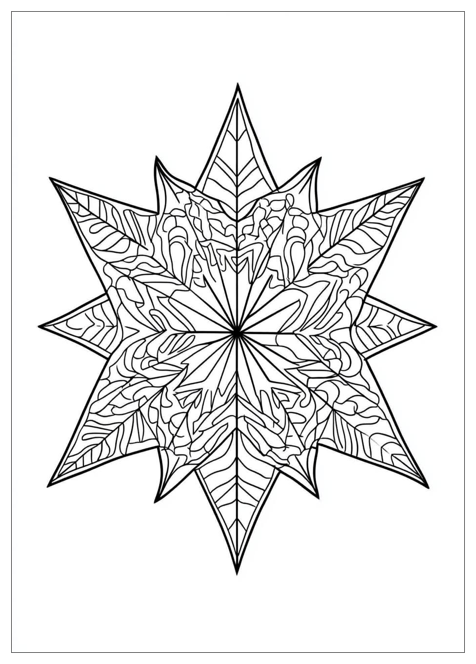 Weihnachtssterne Ausmalbilder 13