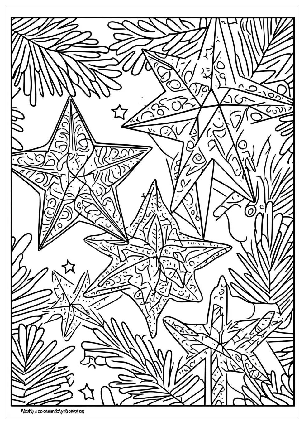 Weihnachtssterne Ausmalbilder 20