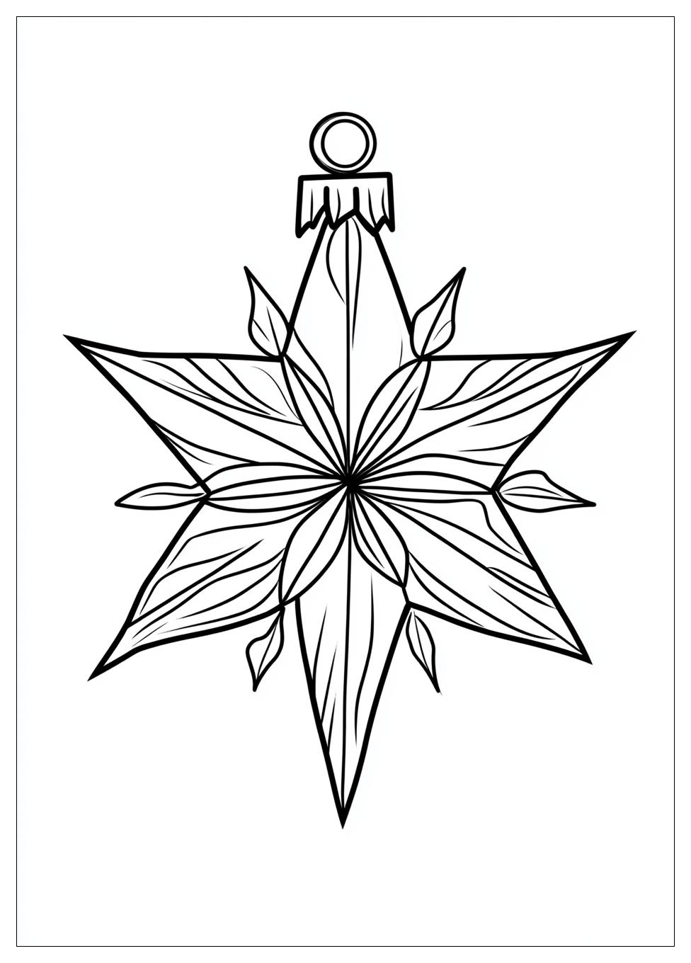 Weihnachtssterne Ausmalbilder 3