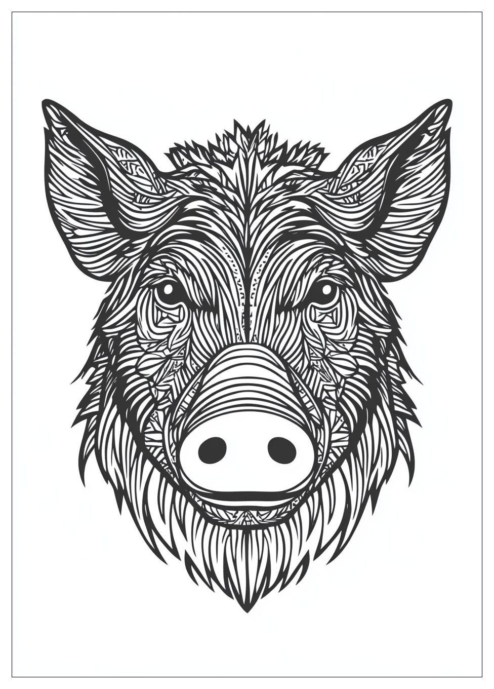 Wildschwein Ausmalbilder 13