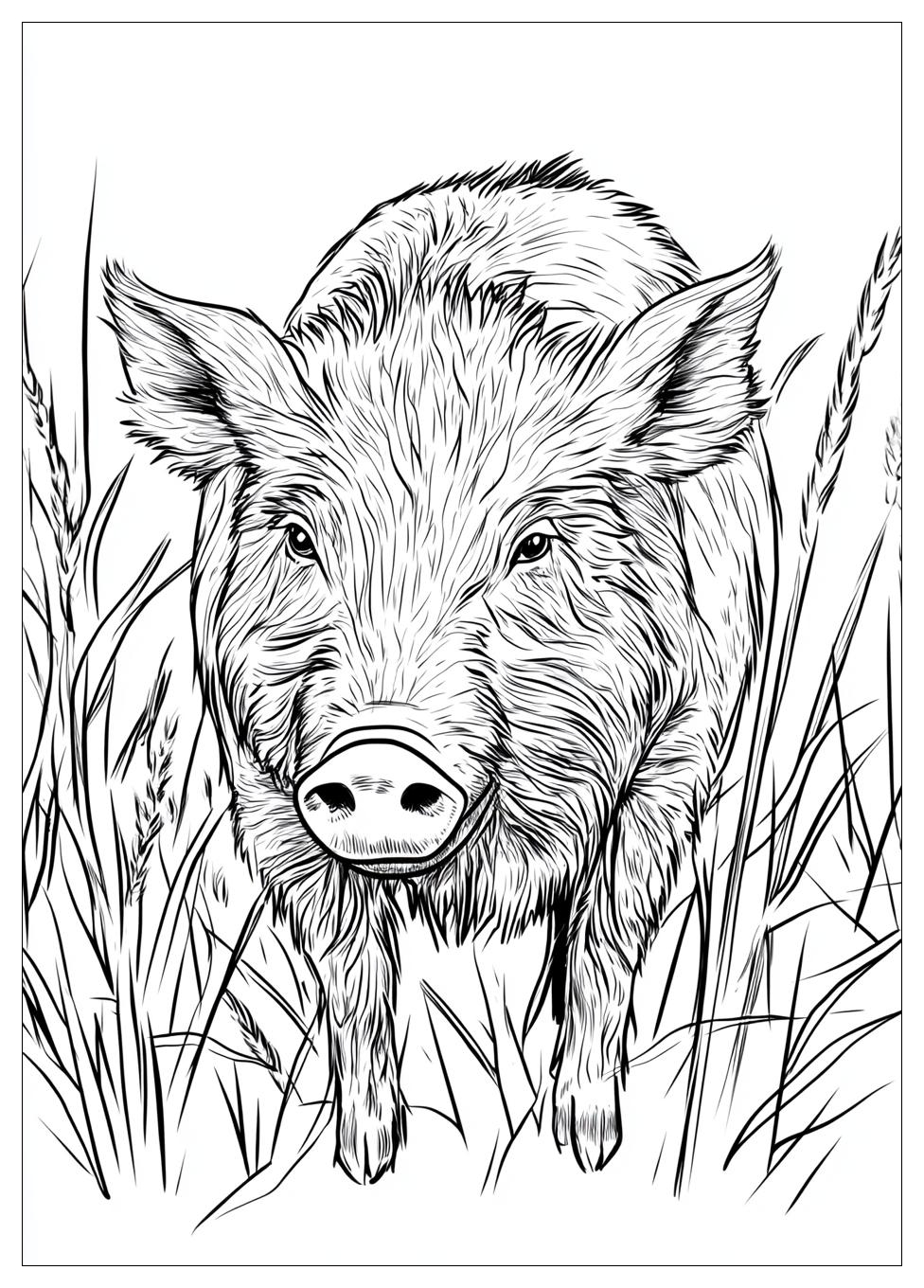 Wildschwein Ausmalbilder 15