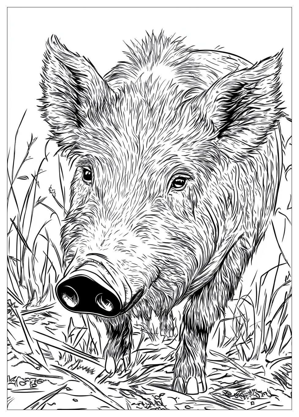 Wildschwein Ausmalbilder 21