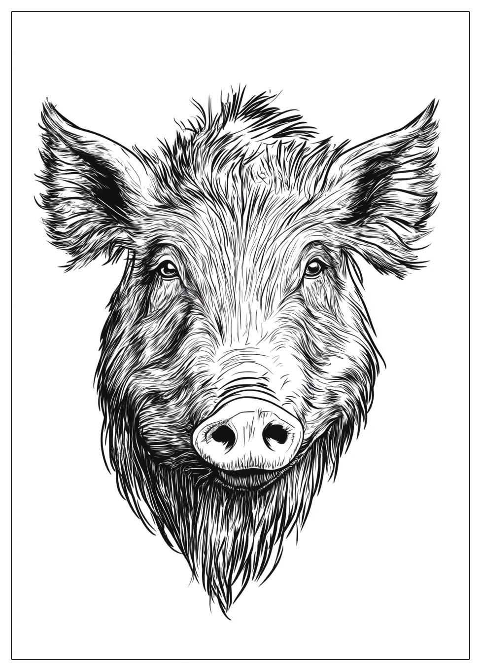 Wildschwein Ausmalbilder 24