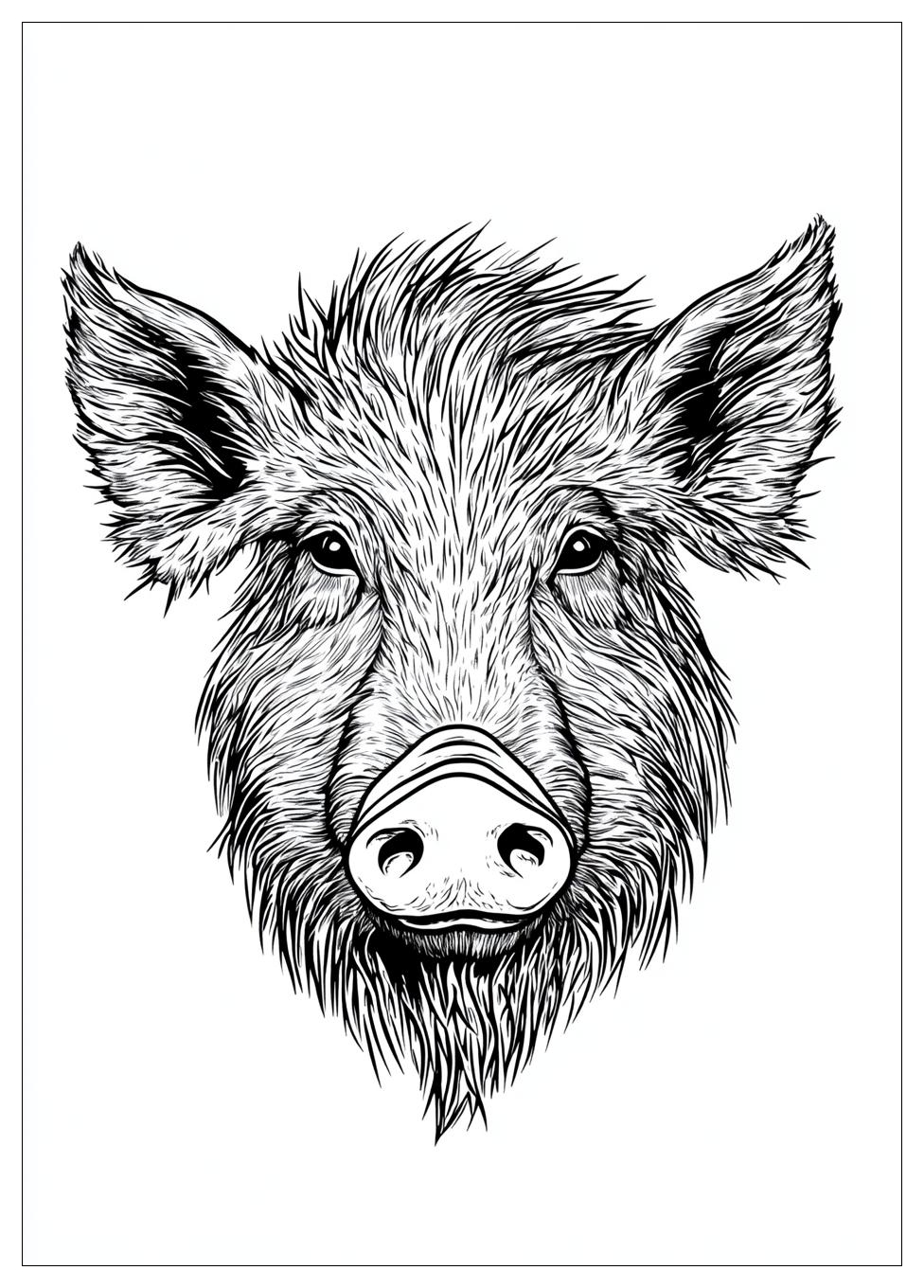 Wildschwein Ausmalbilder 4