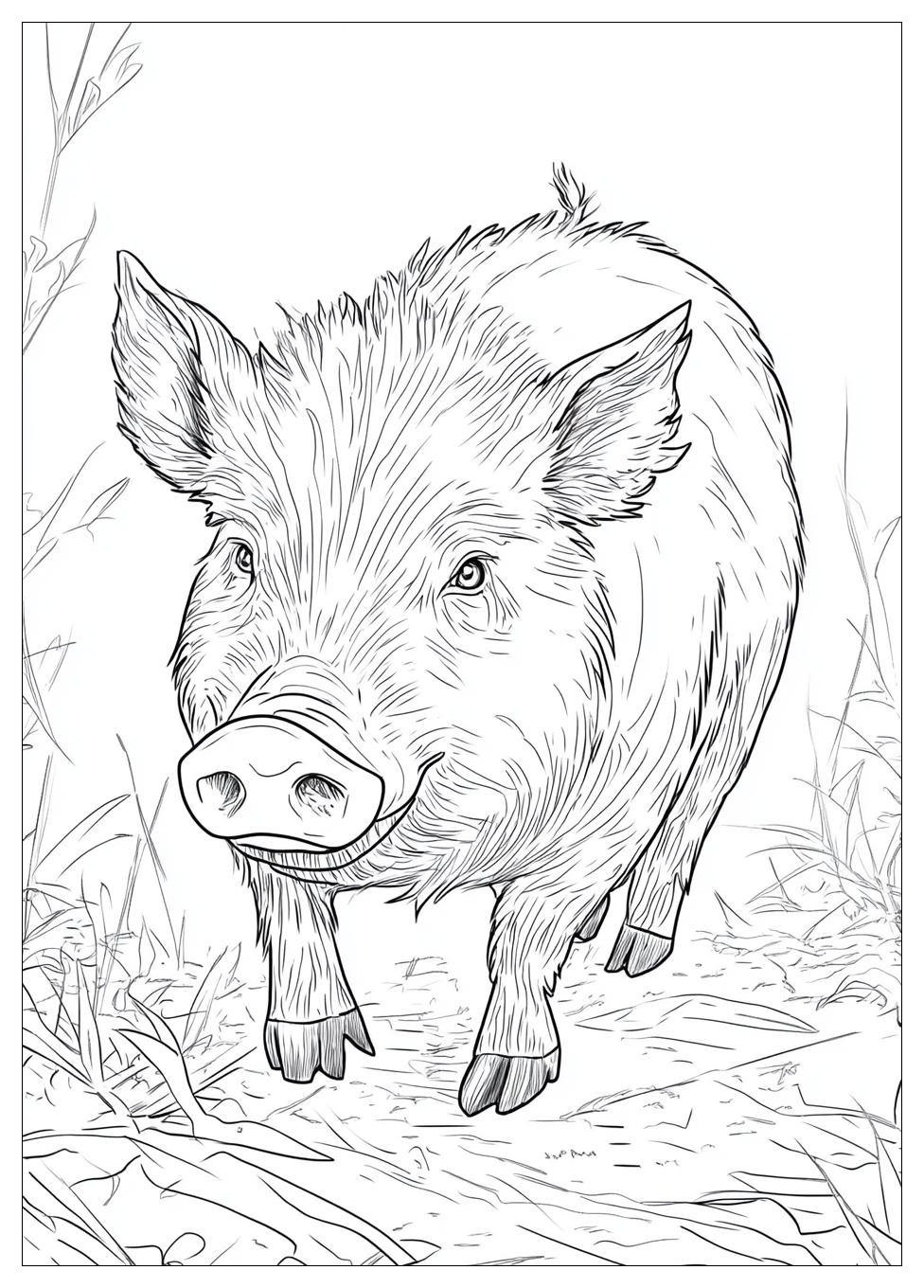 Wildschwein Ausmalbilder 5