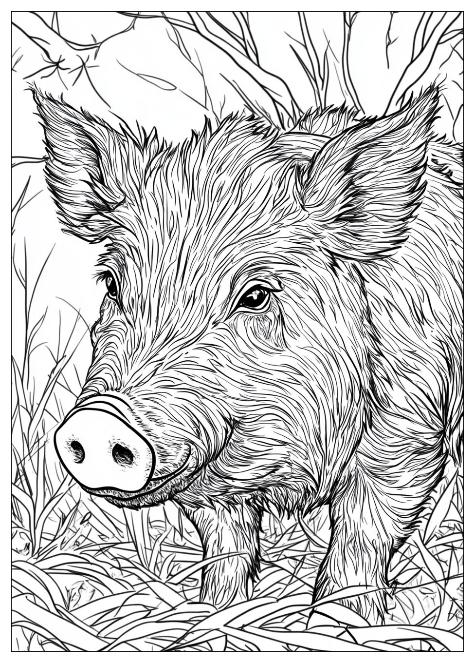 Wildschwein Ausmalbilder 6