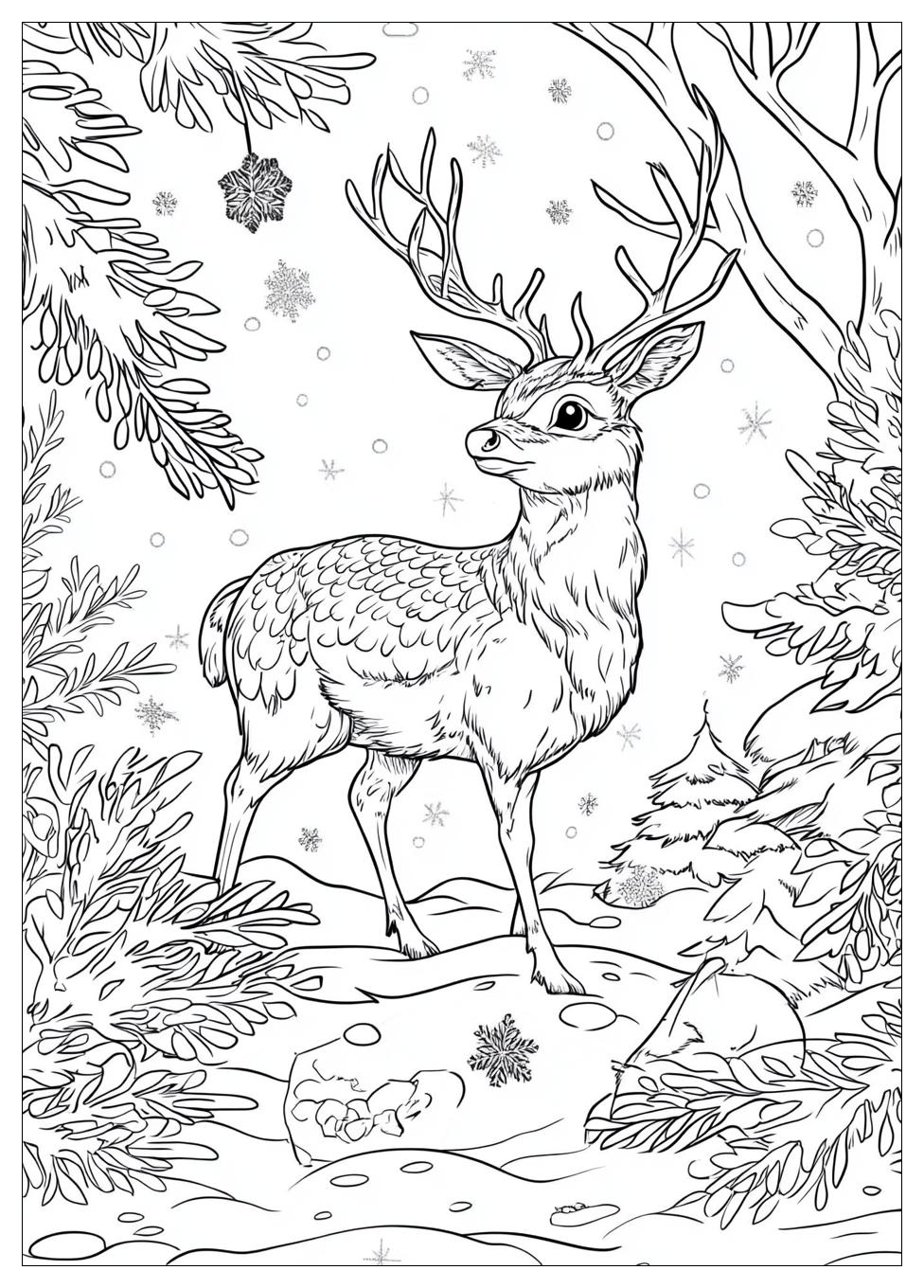 Winter Tiere Ausmalbilder 1