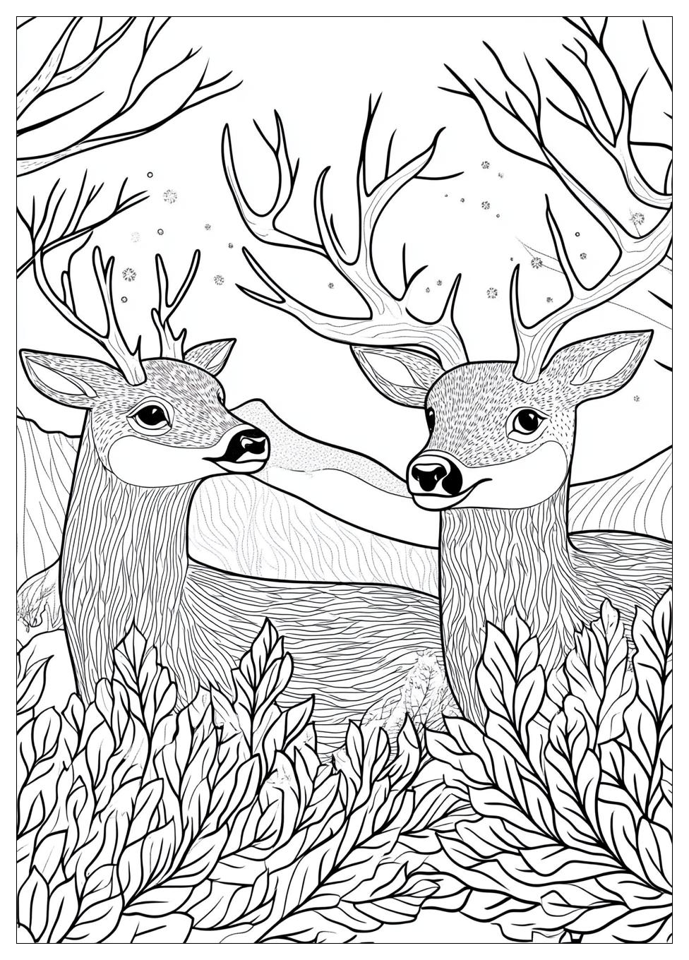 Winter Tiere Ausmalbilder 6