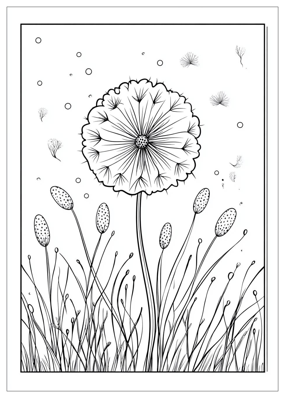 Wish Ausmalbilder 7