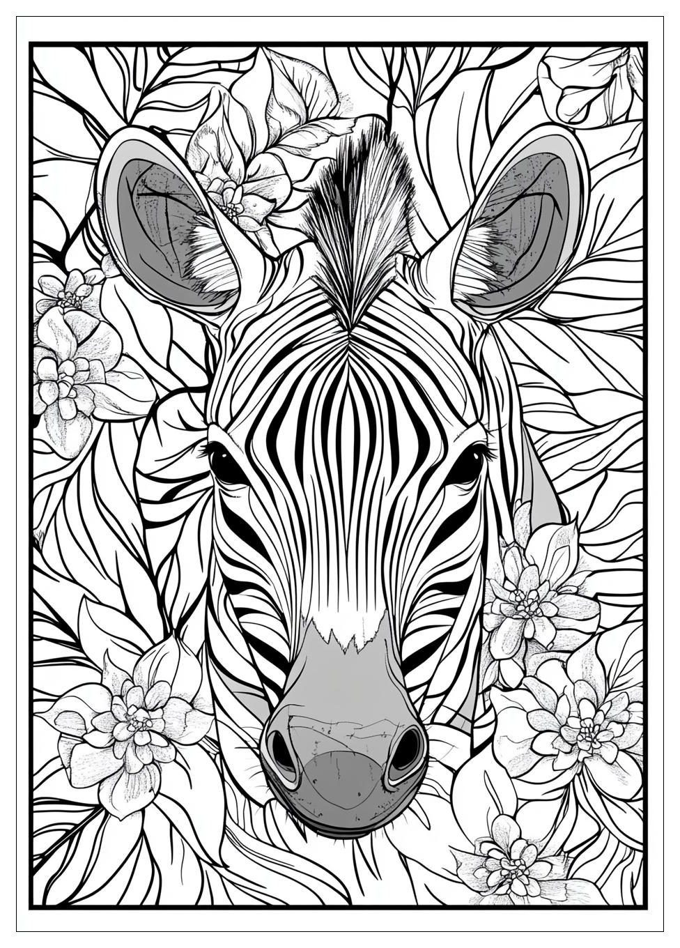Zebra Ausmalbilder 18