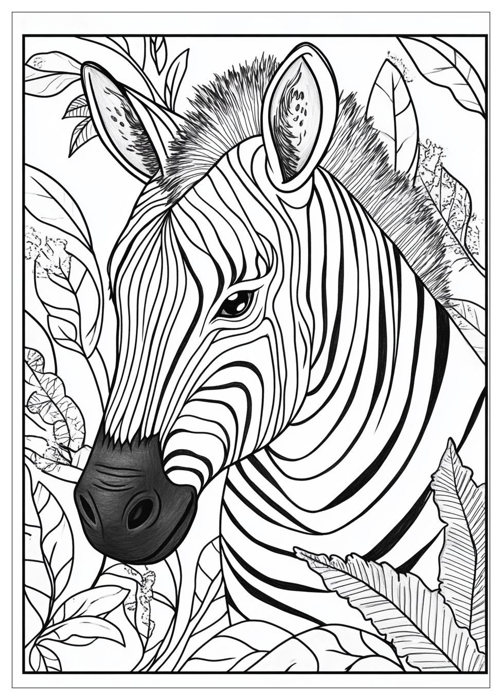Zebra Ausmalbilder 2