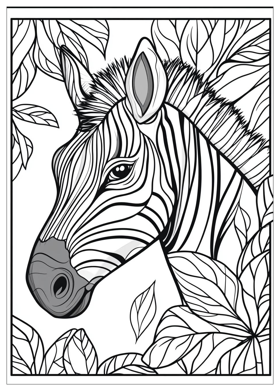 Zebra Ausmalbilder 5