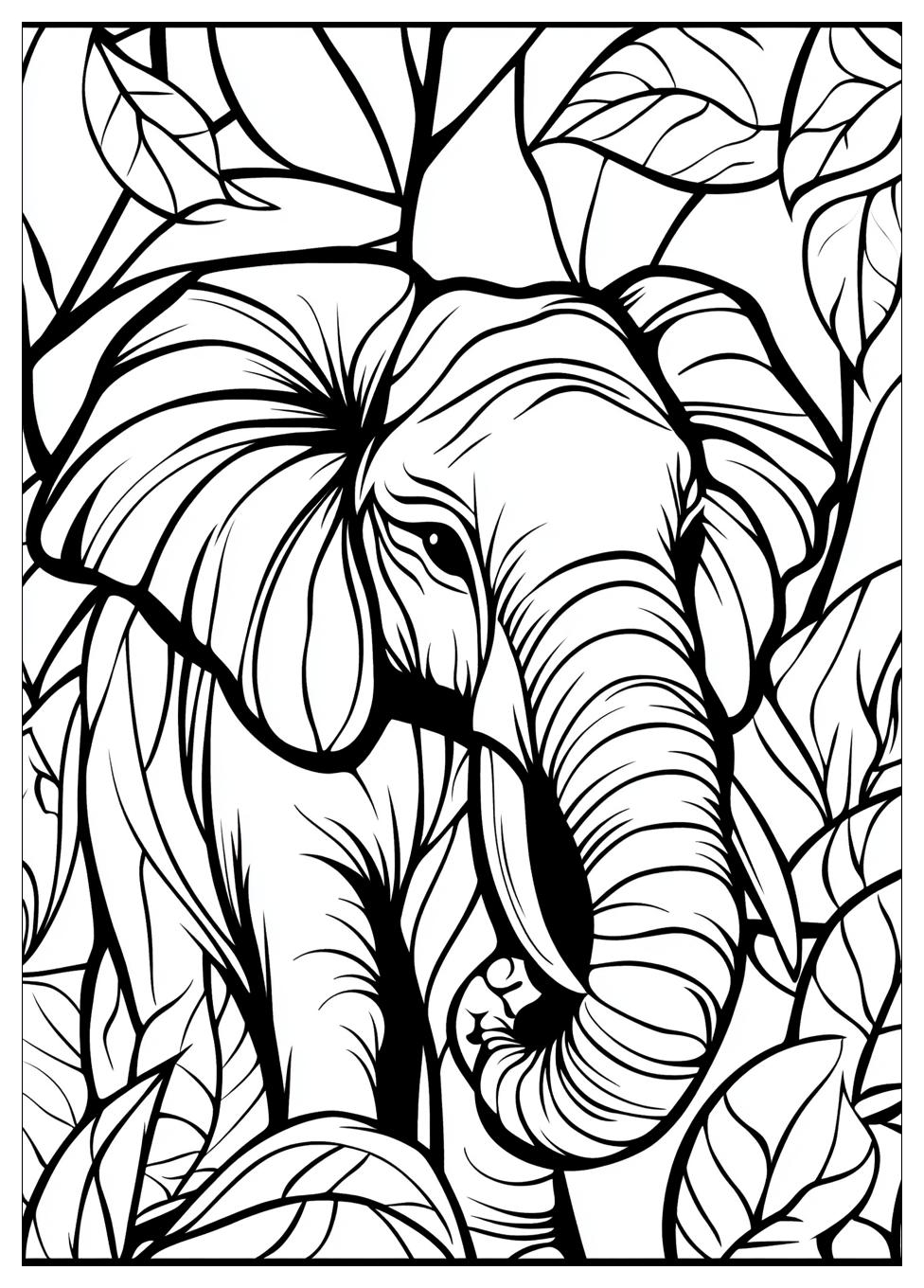 Zoo Ausmalbilder 5