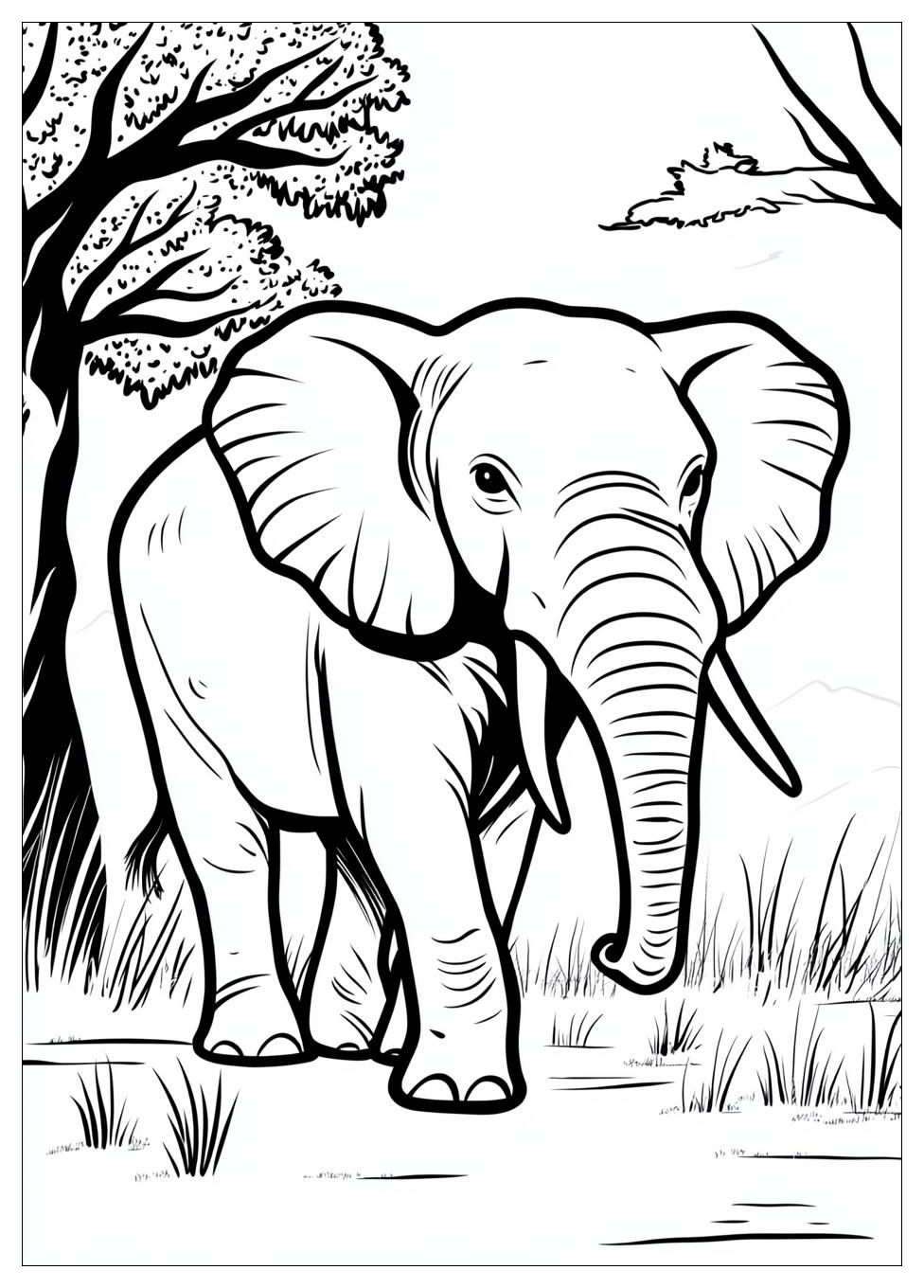 Zoo Ausmalbilder 9